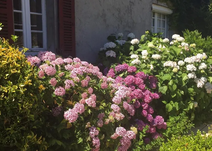 Privatunterkunft Chez Beatrice *